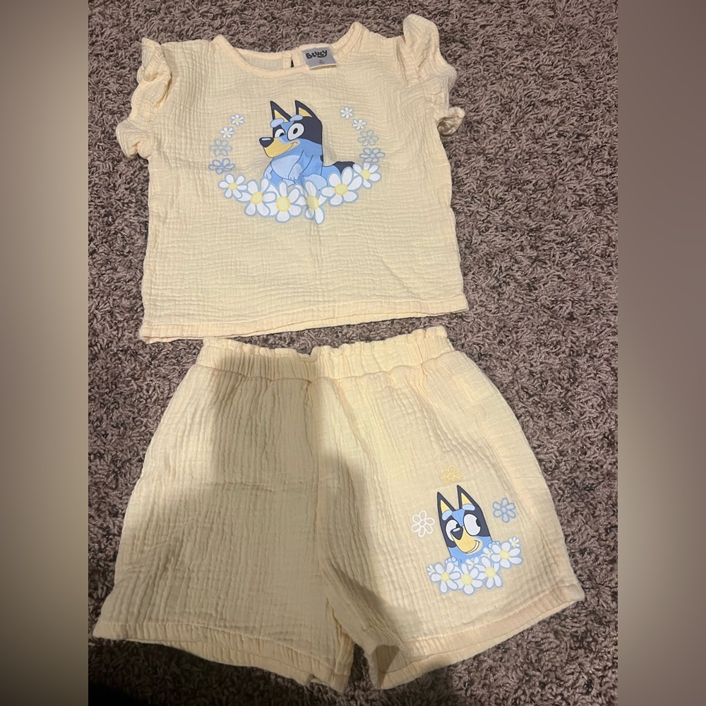 Bluey Short Set